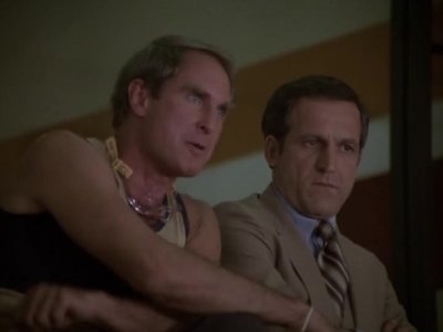 HILL_STREET_BLUES_-_E2X04_THE_SECOND_OLDEST_PROFESSION_470.jpg