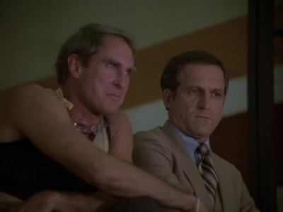 HILL_STREET_BLUES_-_E2X04_THE_SECOND_OLDEST_PROFESSION_478.jpg
