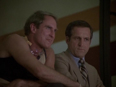 HILL_STREET_BLUES_-_E2X04_THE_SECOND_OLDEST_PROFESSION_487.jpg