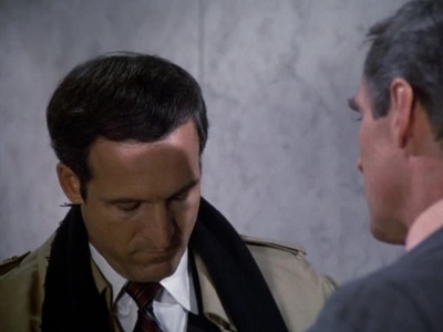 HILL_STREET_BLUES_-_E2X11_FREEDOMS_LAST_STAND_329.jpg