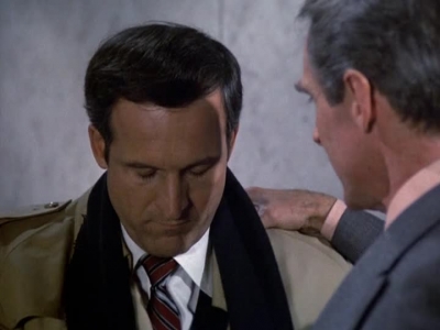 HILL_STREET_BLUES_-_E2X11_FREEDOMS_LAST_STAND_333.jpg