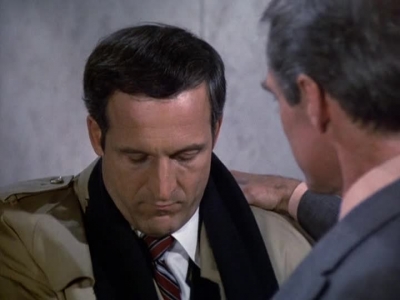 HILL_STREET_BLUES_-_E2X11_FREEDOMS_LAST_STAND_336.jpg