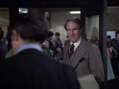 HILL_STREET_BLUES_-_E2X15_SOME_LIKE_IT_HOT_WIRED_046.jpg