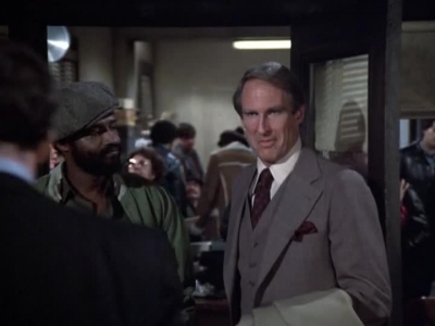HILL_STREET_BLUES_-_E2X15_SOME_LIKE_IT_HOT_WIRED_048.jpg