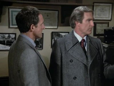 HILL_STREET_BLUES_-_E3X09_A_HAIR_OF_THE_DOG_480.jpg