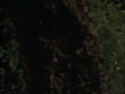 TOUR_OF_DUTY_-__E3X09_I_AM_WHAT_I_AM__0211.jpg
