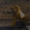 MAJOR_DAD_-_E4X15_COME_RAIN_OR_COME_SHINE_282.jpg