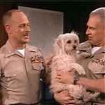 MAJOR_DAD_-_E2X23_ELMO_COME_HOME_028.jpg