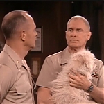 MAJOR_DAD_-_E2X23_ELMO_COME_HOME_055.jpg