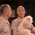 MAJOR_DAD_-_E2X23_ELMO_COME_HOME_069.jpg