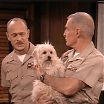 MAJOR_DAD_-_E2X23_ELMO_COME_HOME_078.jpg