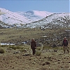 VALDEZ_IS_COMING_1732.jpg
