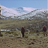 VALDEZ_IS_COMING_1737.jpg