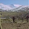 VALDEZ_IS_COMING_1749.jpg
