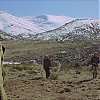 VALDEZ_IS_COMING_1750.jpg