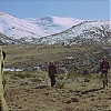 VALDEZ_IS_COMING_1751.jpg