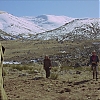 VALDEZ_IS_COMING_1752.jpg
