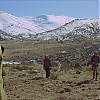 VALDEZ_IS_COMING_1753.jpg