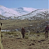 VALDEZ_IS_COMING_1754.jpg