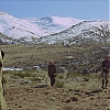 VALDEZ_IS_COMING_1755.jpg