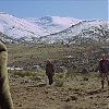 VALDEZ_IS_COMING_1769.jpg