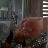 MASTERS_OF_THE_UNIVERSE_0354.jpg