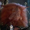 MASTERS_OF_THE_UNIVERSE_1492.jpg