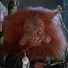 MASTERS_OF_THE_UNIVERSE_1494.jpg
