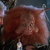 MASTERS_OF_THE_UNIVERSE_1497.jpg