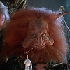 MASTERS_OF_THE_UNIVERSE_1498.jpg