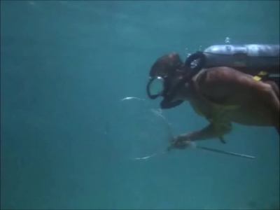 FLIPPER_-_E1X07_COUNTDOWN_FOR_FLIPPER_0140.jpg