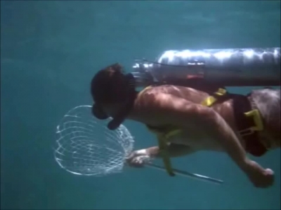 FLIPPER_-_E1X07_COUNTDOWN_FOR_FLIPPER_0163.jpg