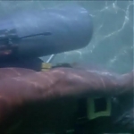 FLIPPER_-_E1X07_COUNTDOWN_FOR_FLIPPER_0267.jpg