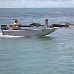 FLIPPER_-_E1X07_COUNTDOWN_FOR_FLIPPER_0438.jpg