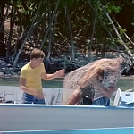 FLIPPER_-_E1X07_COUNTDOWN_FOR_FLIPPER_0908.jpg