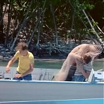 FLIPPER_-_E1X07_COUNTDOWN_FOR_FLIPPER_0909.jpg