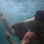 FLIPPER_-_E1X07_COUNTDOWN_FOR_FLIPPER_1225.jpg