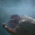 FLIPPER_-_E1X07_COUNTDOWN_FOR_FLIPPER_1330.jpg