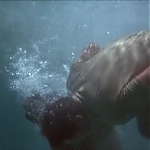FLIPPER_-_E1X07_COUNTDOWN_FOR_FLIPPER_1333.jpg