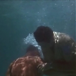 FLIPPER_-_E1X07_COUNTDOWN_FOR_FLIPPER_1375.jpg