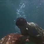 FLIPPER_-_E1X07_COUNTDOWN_FOR_FLIPPER_1377.jpg