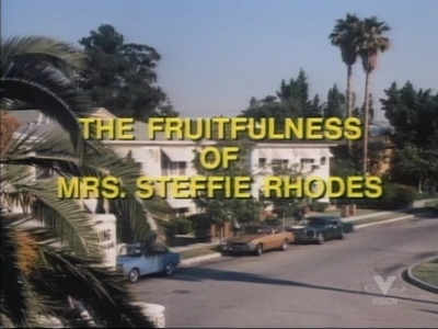 MARCUS_WELBY_MD_-_E7X02_THE_FRUITFULNESS_OF_STEFFI_RHODES_002.jpg