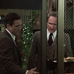 HILL_STREET_BLUES_-_E1X16_JUNGLE_MADNESS_PT_1_624.jpg