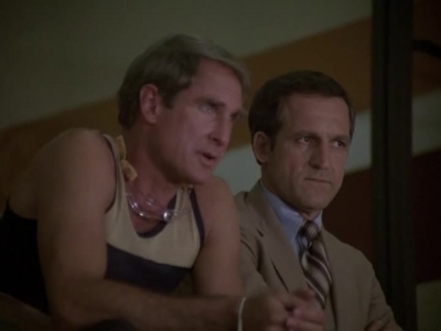 HILL_STREET_BLUES_-_E2X04_THE_SECOND_OLDEST_PROFESSION_246.jpg