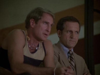 HILL_STREET_BLUES_-_E2X04_THE_SECOND_OLDEST_PROFESSION_247.jpg