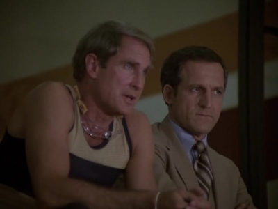 HILL_STREET_BLUES_-_E2X04_THE_SECOND_OLDEST_PROFESSION_250.jpg
