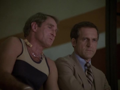 HILL_STREET_BLUES_-_E2X04_THE_SECOND_OLDEST_PROFESSION_260.jpg