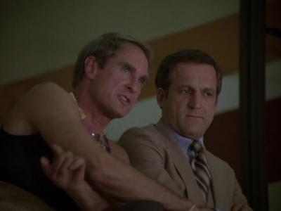 HILL_STREET_BLUES_-_E2X04_THE_SECOND_OLDEST_PROFESSION_443.jpg
