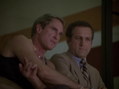 HILL_STREET_BLUES_-_E2X04_THE_SECOND_OLDEST_PROFESSION_444.jpg