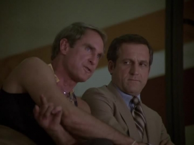 HILL_STREET_BLUES_-_E2X04_THE_SECOND_OLDEST_PROFESSION_445.jpg